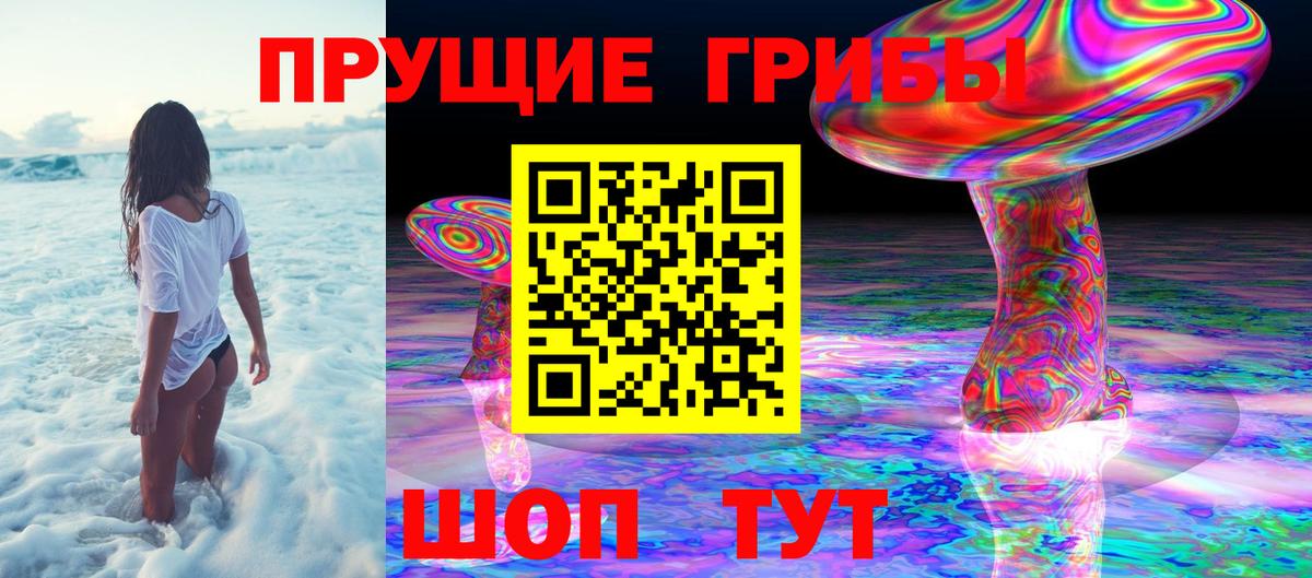 Россошь  Псилоцибиновые грибы ЛСД  Вход с VPN 